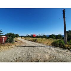 Коттедж в лесу в Несебре (Паницово) площадь 172м² 2-этажный