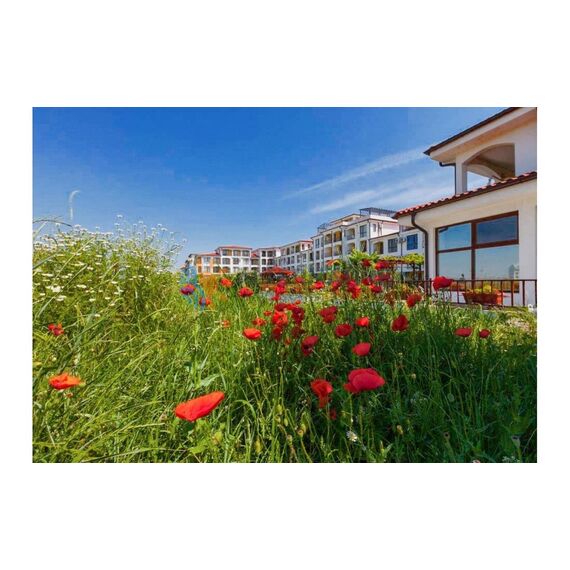 Квартира 2-комнатная 1+1 в Несебре (Равда) площадь 60м², изображение 12