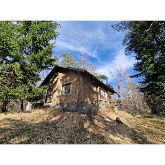 Вилла в лесу в Банско площадь 148м² 1-этажный, изображение 6