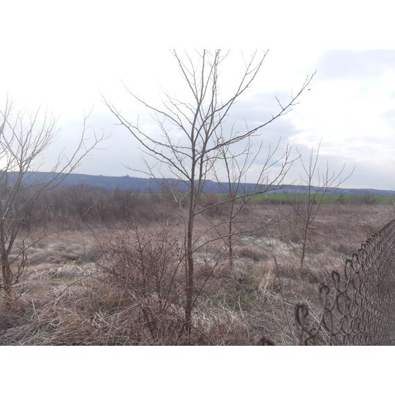 Земля в Средец (Загорци) участок в деревне 3800м², изображение 8