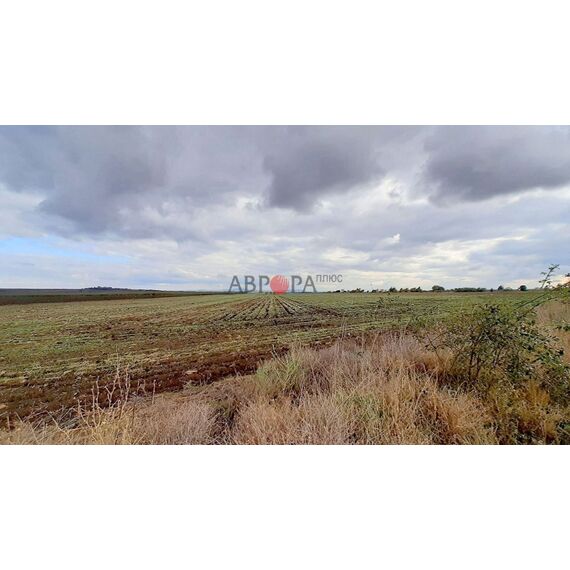 Земля в Бургасе участок в пригороде 17000м², изображение 6