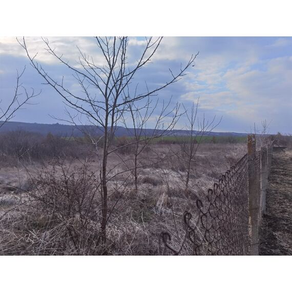 Земля в Средец (Загорци) участок в деревне 3800м², изображение 5